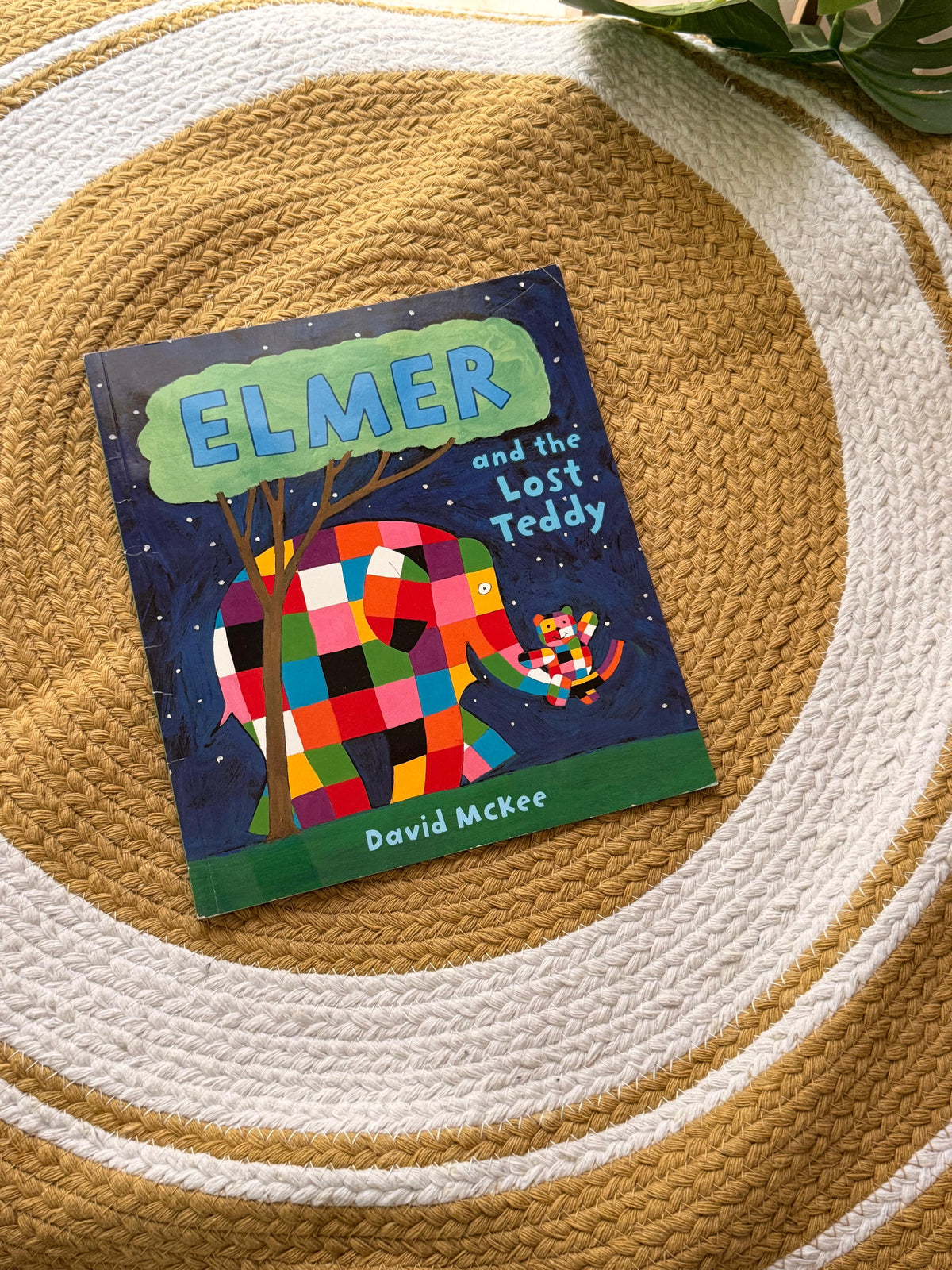 Elmer and the Lost Teddy